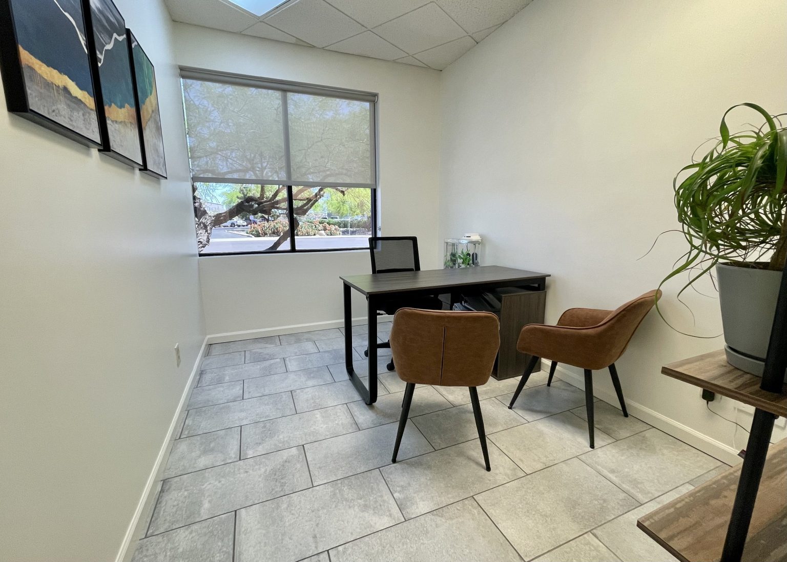 Affordable Individual Therapy in Mesa