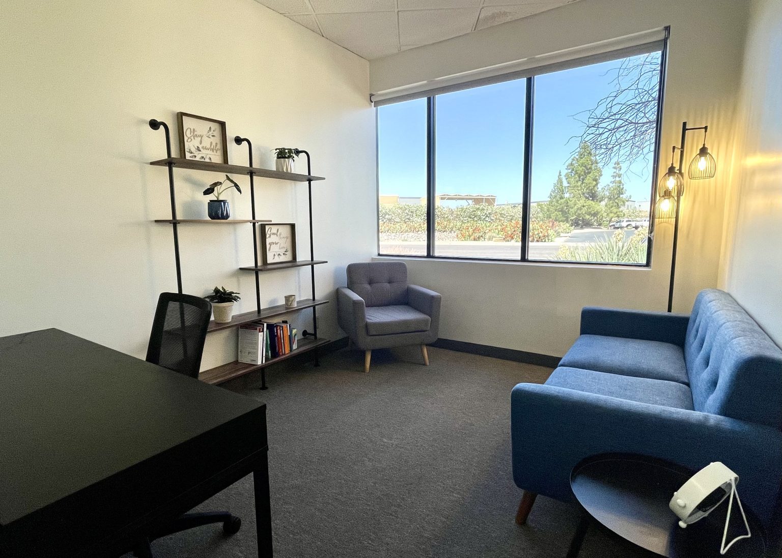 Affordable Virtual IOP Program in Arizona